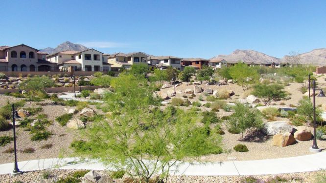 Summerlin Trail System in The Paseos